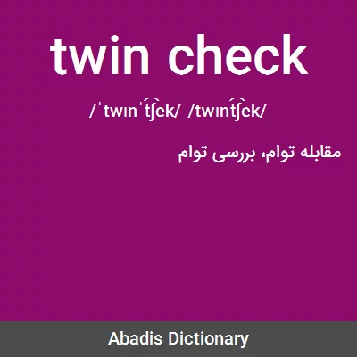 معنی twin check